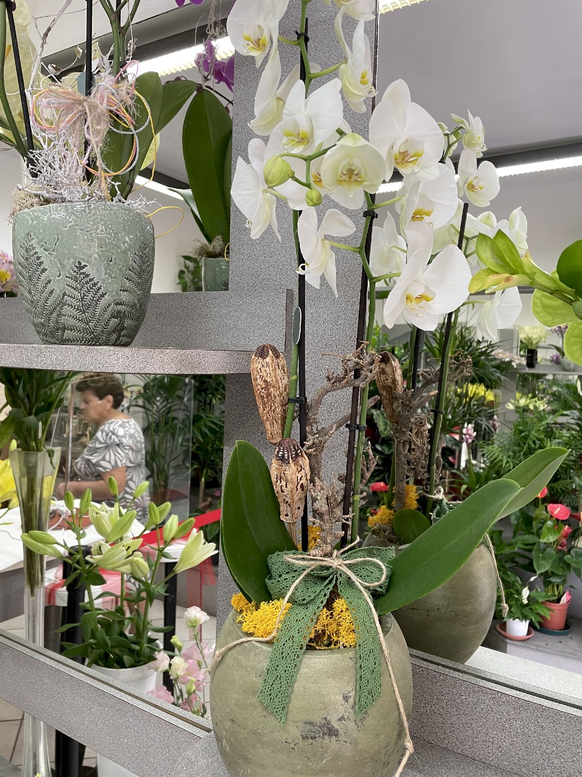 Negozio di Fiori, Piante ornamentali San Miniato - Ferri Leda