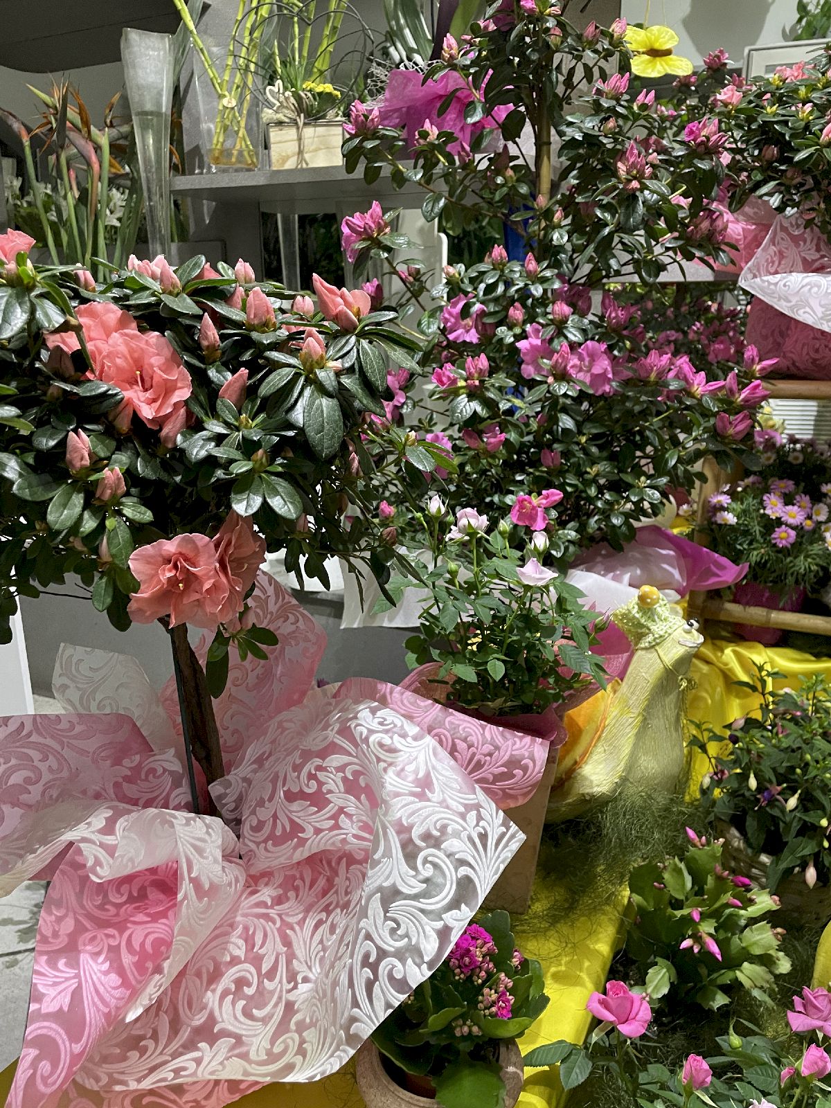 Agenzia Funebre e Vendita Fiori a San Miniato - Ferri Leda