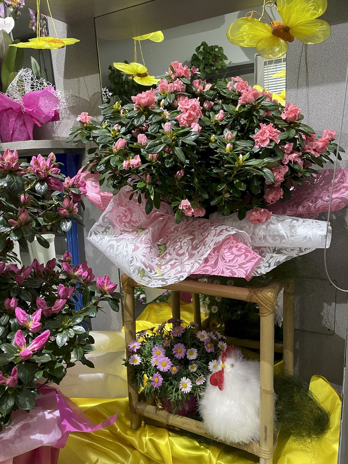 Agenzia Funebre e Vendita Fiori a San Miniato - Ferri Leda