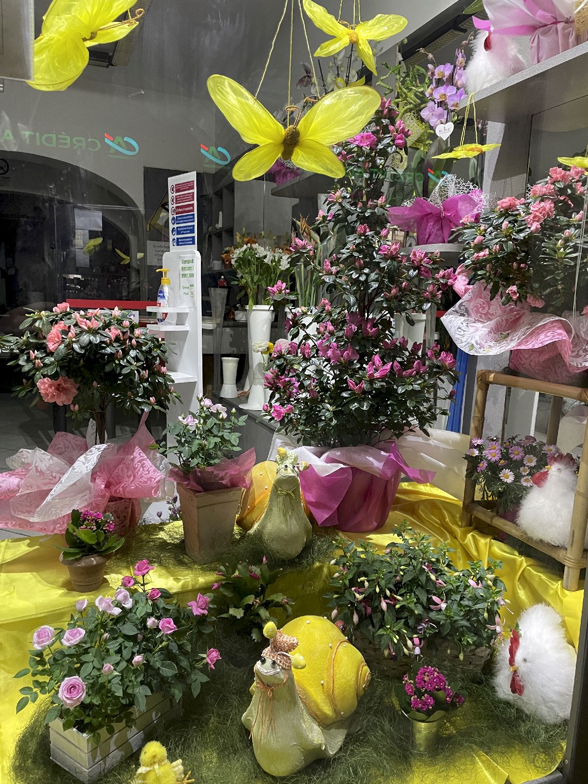 Agenzia Funebre e Vendita Fiori a San Miniato - Ferri Leda